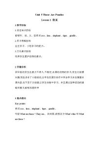 英语Lesson 1教案设计