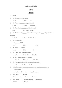 小升初英语知识专项训练（基础知识）-4.冠词通用版附答案解析