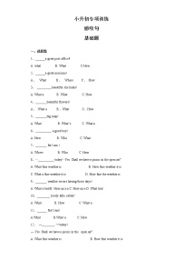 小升初英语知识专项训练（时态与句法）-18.感叹句通用版附答案解析