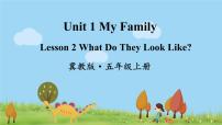 冀教版 (三年级起点)五年级上册Lesson 2 What Do They Look Like?教课课件ppt