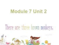 外研版 (一年级起点)一年级下册Module 7unit 2 There are three brown monkeys.课堂教学ppt课件