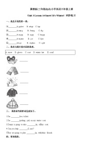 小学英语冀教版 (三年级起点)六年级上册Lesson 14 Snow! It's Winter!随堂练习题