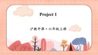 2021学年Project 1获奖课件ppt