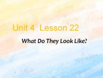 冀教版 (一年级起点)三年级上册Lesson 22 What Do They Look Like?公开课课件ppt