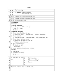 小学Unit 8 An outing一等奖第二课时表格教案