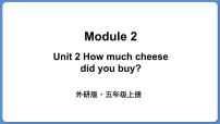 小学英语外研版 (三年级起点)五年级上册Unit 2 How much cheese did you buy?背景图ppt课件