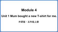 小学英语外研版 (三年级起点)五年级上册Unit 1 Mum bought a new T-shirt for me.课文内容ppt课件