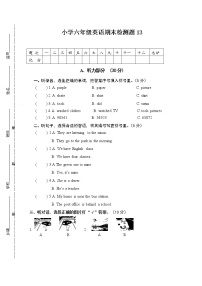 PEP人教版小学英语六年级下学期期末测试卷13