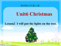 小学英语鲁科版 (五四制)五年级上册Lesson 2 I will put the lights on the tree.课堂教学ppt课件