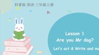 小学英语科普版三年级上册Lesson 2 Are you Mr Dog?课堂教学ppt课件