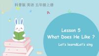 小学英语科普版五年级上册Lesson 5 What does he like?背景图课件ppt