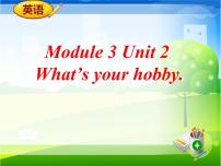 2020-2021学年Unit 2 What’s your hobby?备课ppt课件