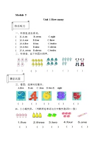 外研版 (三年级起点)三年级上册Module 5Unit 1 How many?精品课时练习