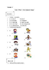 外研版 (三年级起点)四年级上册Unit 2 What's the elephant doing?精品练习