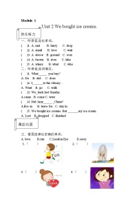 小学英语外研版 (三年级起点)五年级上册Unit 2 We bought ice creams.优秀练习