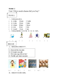 小学英语外研版 (三年级起点)五年级上册Unit 2 How much cheese did you buy?精品精练