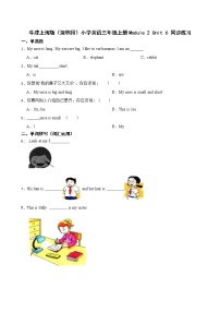 小学英语新版-牛津上海版三年级上册unit 6 Me精练