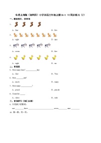 小学英语unit10 Numbers达标测试