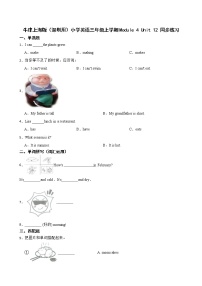 小学英语新版-牛津上海版三年级上册unit 12 The four seasons课时训练