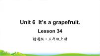 小学Lesson 34获奖教学ppt课件