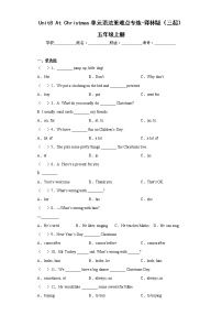小学英语Unit 8 At Christmas课后复习题