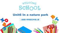 英语Unit 6 In a nature park Part B完美版ppt课件