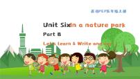 小学英语人教版 (PEP)五年级上册Unit 6 In a nature park Part B图片ppt课件