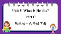 陕旅版六年级下册Unit 5 What Is He like？教课课件ppt