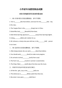 小升初英语专项：比较级、最高级（含答案）