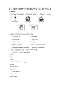 2021-2022学年陕西省汉中市略阳县六年级（上）期末英语试卷