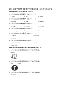 2021-2022学年陕西省榆林市神木市六年级（上）期末英语试卷