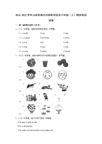 2021-2022学年云南省迪庆州香格里拉市六年级（上）期末英语试卷