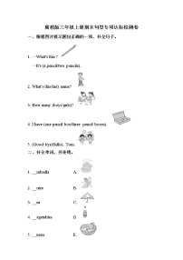 【期末句型】冀教版（三起）-三年级上册英语期末专项训练（含答案）