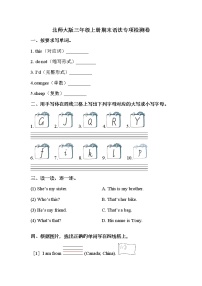 【期末语法】北师大版（三起）-三年级上册英语期末专项训练（含答案）