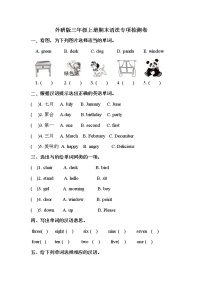 【期末语法】外研版（三起）-三年级上册英语期末专项训练（含答案）