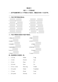 【期末专项】译林版（三起）-三年级上册英语期末复习  专题一 字母与词汇（含答案）