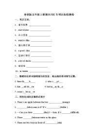 【期末句型】译林版（三起）-五年级上册英语期末专项训练（含答案）