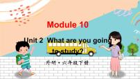 小学英语外研版 (三年级起点)六年级下册Unit 2 What are you going to study?教学课件ppt