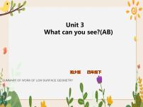 英语四年级下册Unit 3 What can you see?获奖课件ppt