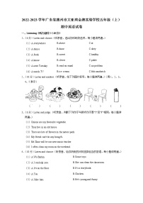 广东省惠州市大亚湾金澳实验学校2022-2023学年五年级上学期期中英语试题