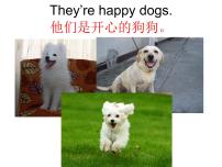 小学英语新概念英语（青少版）Starter BUnit 9 They're happy dogs.说课课件ppt