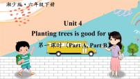 湘少版六年级下册Unit 4 Planting trees is good for us优秀ppt课件