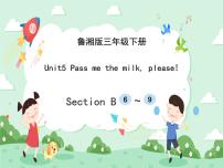 湘鲁版三年级下册Section B优秀课件ppt