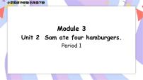 小学英语外研版 (三年级起点)五年级下册Unit 2 Sam ate four hamburgers.一等奖ppt课件