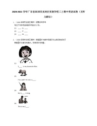 广东省深圳市龙岗区实验学校2020-2021学年三年级上学期期中英语试卷