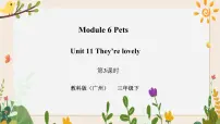 小学英语教科版 (广州)三年级下册Module 6 PetsUnit 11 They’re lovely精品习题ppt课件