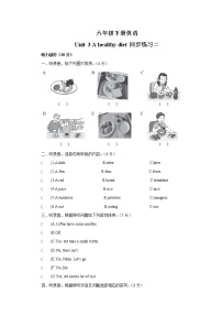 六年级下册Unit 3 A healthy diet精品课堂检测