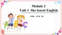 外研版 (三年级起点)五年级下册Unit 1 She learnt English.公开课ppt课件