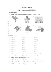 新版-牛津译林版六年级下册Unit 8 Our dreams优秀课堂检测