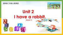 小学英语新版-牛津译林版二年级上册Unit 2 I have a rabbit图文课件ppt